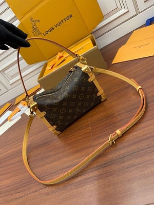 Καφετί Presbyopic καμβά μονόγραμμα κορμών της Louis Vuitton LV δευτερεύον βαλίτσα ΠΡΩΘΥΠΟΥΡΓΟΎ τσάντα