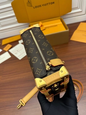 Καφετί Presbyopic καμβά μονόγραμμα κορμών της Louis Vuitton LV δευτερεύον βαλίτσα ΠΡΩΘΥΠΟΥΡΓΟΎ τσάντα